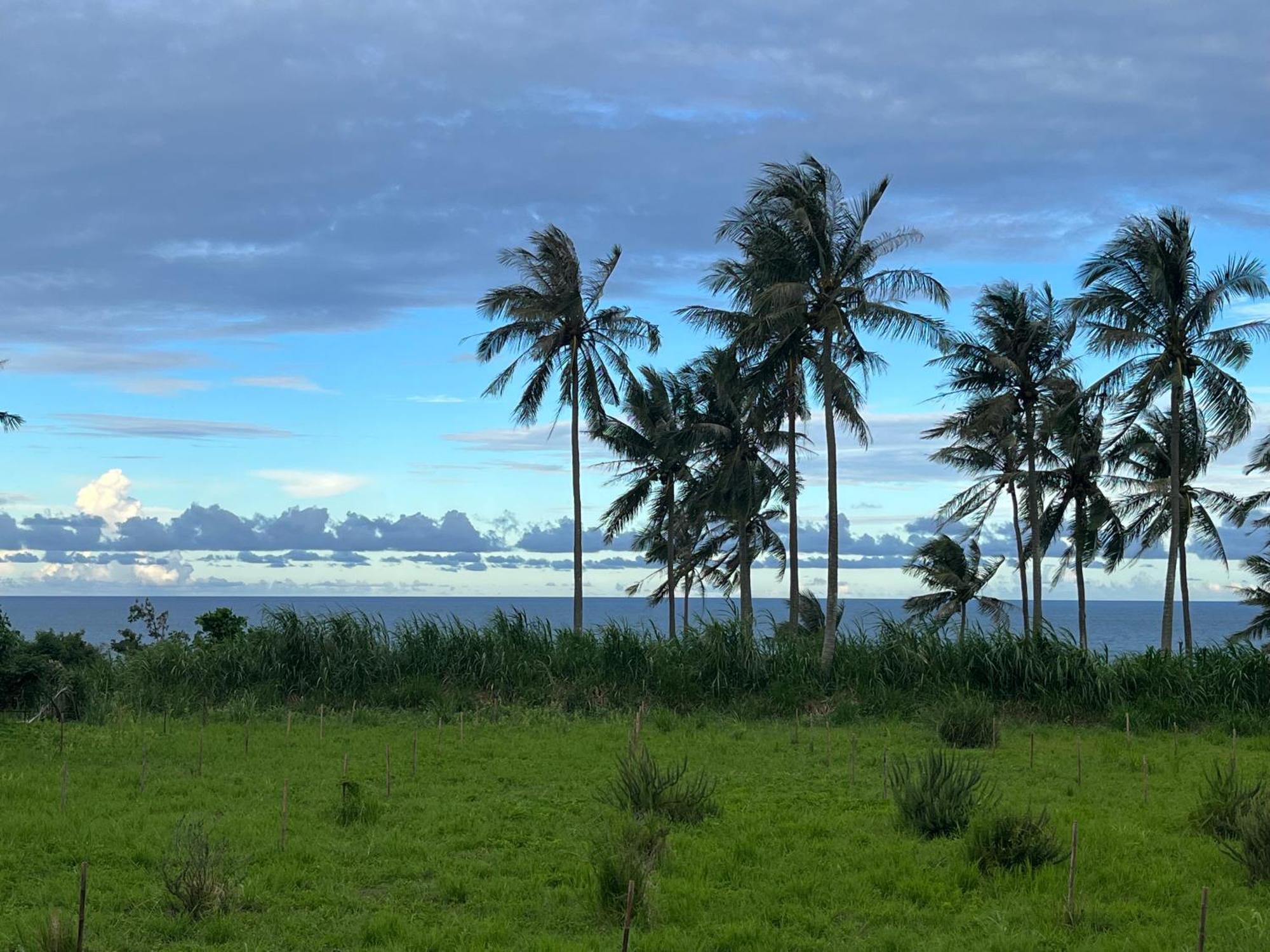 春夏秋冬海景民宿ocean View Motel Чънгун Екстериор снимка