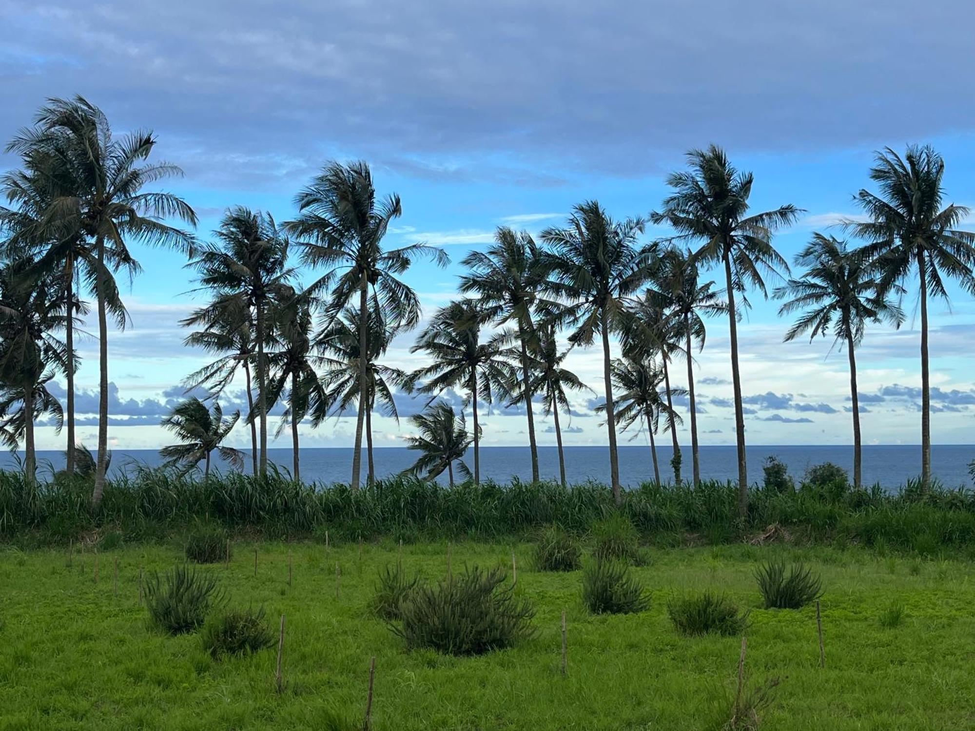 春夏秋冬海景民宿ocean View Motel Чънгун Екстериор снимка